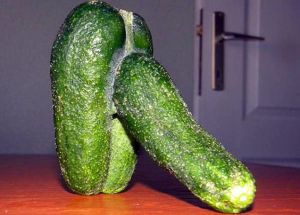 Erotic cucumber